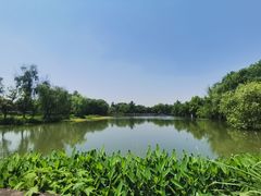 -西溪国家湿地公园