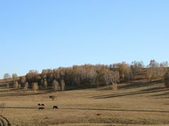 -塞罕坝国家级自然保护区