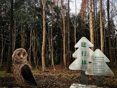-东平国家森林公园