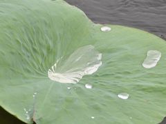 -铁道游击队纪念园