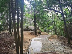 -天鹿湖森林公园
