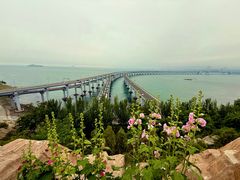 -星海湾跨海大桥