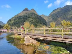 -靖西鹅泉风景区