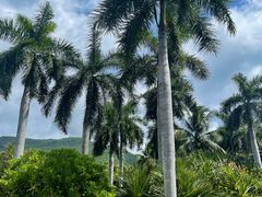 -清水湾旅游度假区