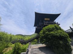 -大唐贡茶院