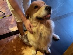 -火车头法国西餐厅