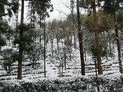 -径山寺