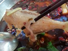 -川道拐耗儿鱼(置信路店)
