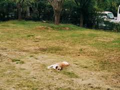 景点-雨花胜境