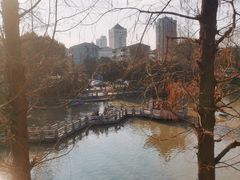 -秋霞圃