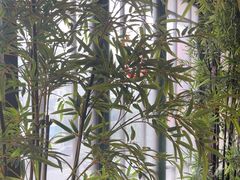 -洞庭土菜馆(天河北总店)