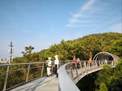 -仙岳公园