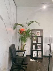 -张小野·专业半永久纹眉