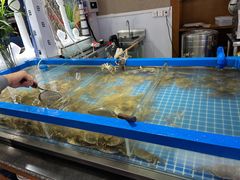 -青岛蓝海大饭店·爱琴海自助餐厅(崂山店)