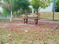 -华南师范大学(广州大学城校区)