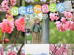 -国家植物园