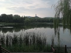 -北坞公园