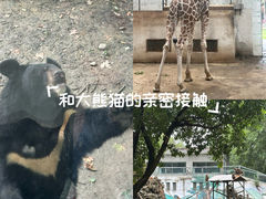 -成都动物园