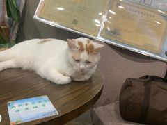 -B.O.M波姆烘焙(凤凰街店)