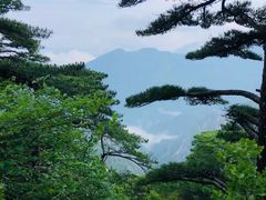 -黄山风景区