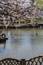-玄武湖景区-情侣园游乐场