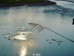 -楠溪江石桅岩