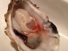 G-Oyster Talks 四度蚝法餐厅