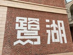 -美的鹭湖森林度假区