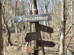 -大连天门山国家森林公园