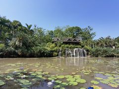 -中国科学院西双版纳热带植物园