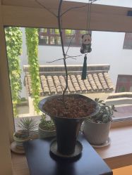 -AGE LOCK 锁龄美肌