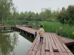 -武清南湖绿博园