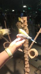 -酷嗒动物文化乐园(cutezoo西溪乐天城店)