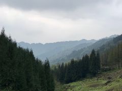 -龙窝子