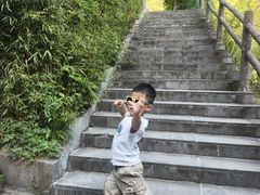 -牛背梁国家森林公园
