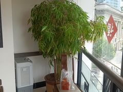 -皇城老妈川味火锅·大连海鲜火锅(港湾店)