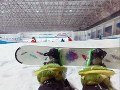 -绍兴启迪乔波冰雪世界