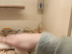 -龙猫仔乐园(惠福东路店)