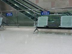 -天津市泰达医院