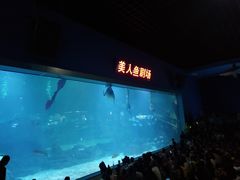 -福州罗源湾海洋世界旅游区