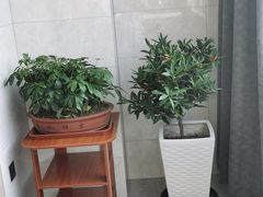 -陈记锅盖面(长江路店)