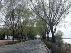 -丁香湖公园