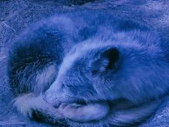 -正佳极地海洋世界