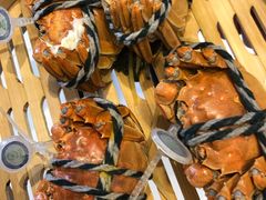 -万龙洲海鲜(大兴绿地缤纷城店)