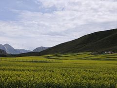 -扁都口生态休闲旅游区
