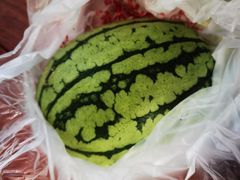 -庞各庄翠芳园西瓜蔬菜基地采摘园