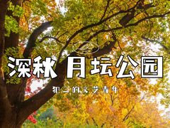 -月坛公园