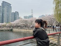 -西北湖绿化广场