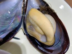 -洲晓鱻舟山海鲜(2号店)