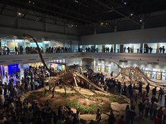 -自贡恐龙博物馆